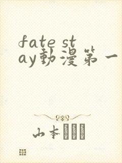 fate stay动漫第一季免费观看