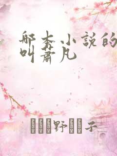 哪本小说的主角叫萧凡