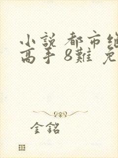 小说 都市绝品高手 8难 免费阅读