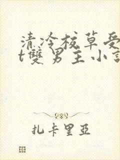 清冷校草受txt双男主小说推荐文完结