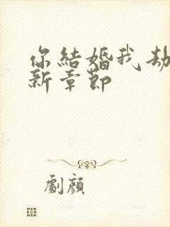 你结婚我劫婚最新章节