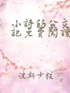 小诗的公交车日记免费阅读笔趣阁