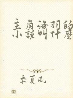 主角洛羽的玄幻小说叫什么名