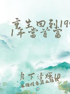 重生回到1991年当首富