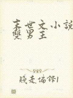 末世文小说推荐双男主