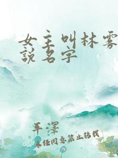 女主叫林雾的小说名字