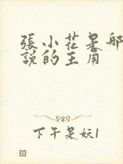 张小花是哪本小说的主角