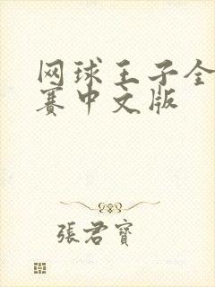 网球王子全国大赛中文版