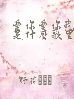 爱你爱你我爱你是什么歌里的词