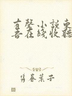 有声小说东野圭吾在线收听