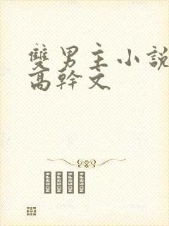 双男主小说推荐高干文