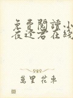 免费阅读小说此夜逢君在线阅读全文