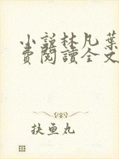 小说林凡叶惜免费阅读全文最新章节