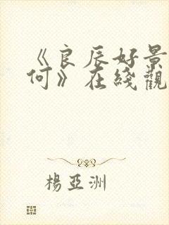 《良辰好景知几何》在线观看