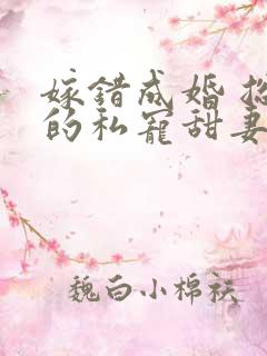 嫁错成婚 总裁的私宠甜妻