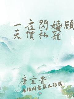 一夜闪婚顾少的天价私宠