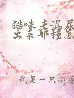 猫咪老漏尿还喷出来那种怎么办