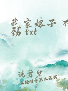 我家娘子 不对劲 txt