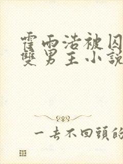 霍雨浩被囚禁禁双男主小说叫什么