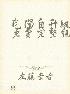 我独自升级动漫免费完整观看