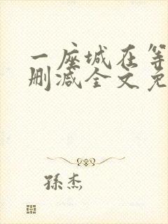 一座城在等你无删减全文免费阅读