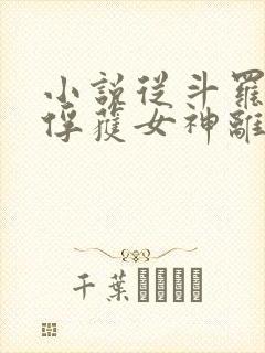 小说从斗罗开始俘获女神离线下载