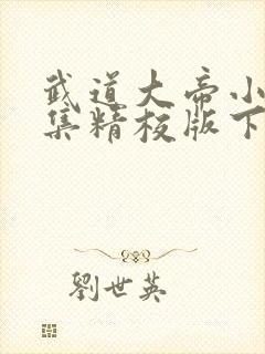 武道大帝小说全集精校版下载