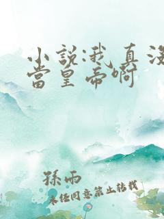 小说:我真没想当皇帝啊