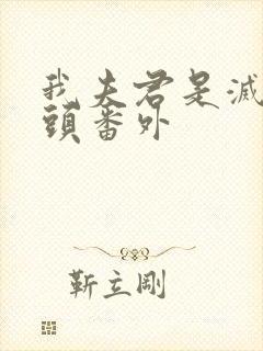 我夫君是灭世魔头番外