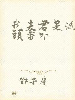 我夫君是灭世魔头番外