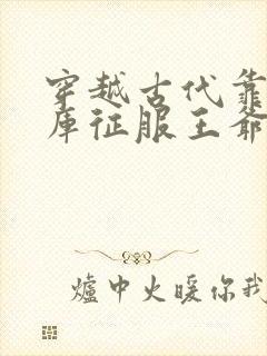 穿越古代靠武器库征服王爷的小说