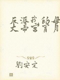 反派我的母亲是大帝宫宵月