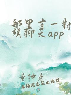 那里有一对一视频聊天app