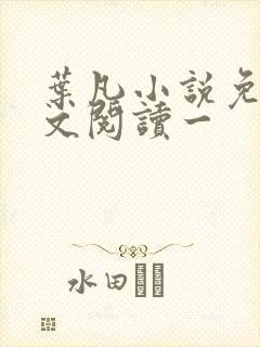 叶凡小说免费全文阅读一