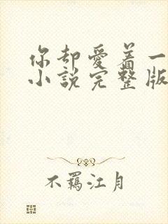 你却爱着一个他小说完整版阅读未删减