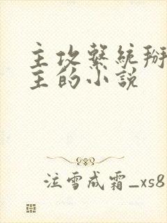 主攻系统掰弯男主的小说