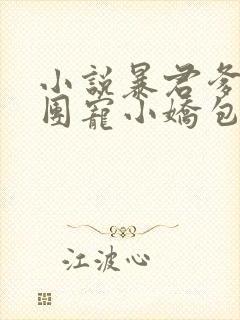 小说暴君爹爹的团宠小娇包