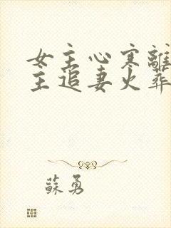 女主心寒离开男主追妻火葬场