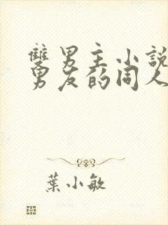 双男主小说叫啥男友的同人文推荐