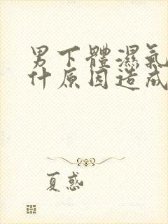 男下体湿气重是什原因造成的