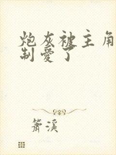 炮灰被主角们强制爱了