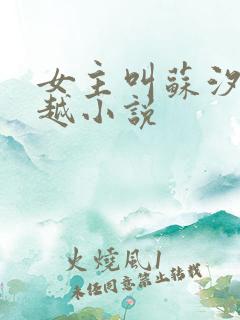 女主叫苏汐的穿越小说