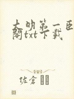 大明第一臣笔趣阁txt下载