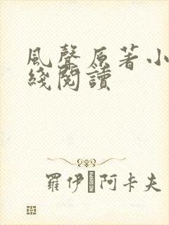 风声原著小说在线阅读