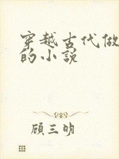 穿越古代做藩王的小说