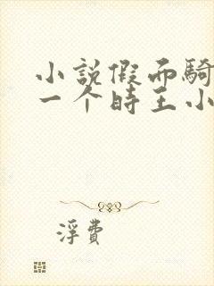 小说假面骑士另一个时王小说