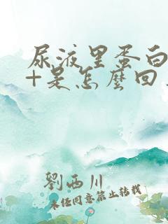 尿液里蛋白质1+是怎么回事