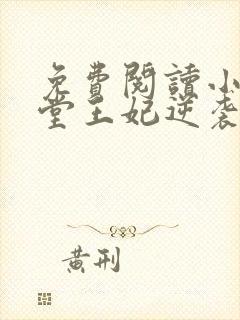 免费阅读小说下堂王妃逆袭记