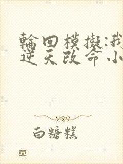 轮回模拟:我能逆天改命小说阅读全文