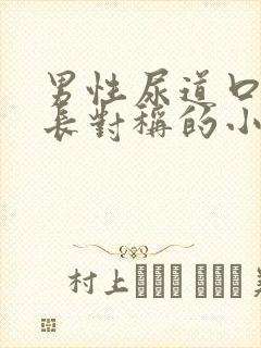 男性尿道口两侧长对称的小疙瘩